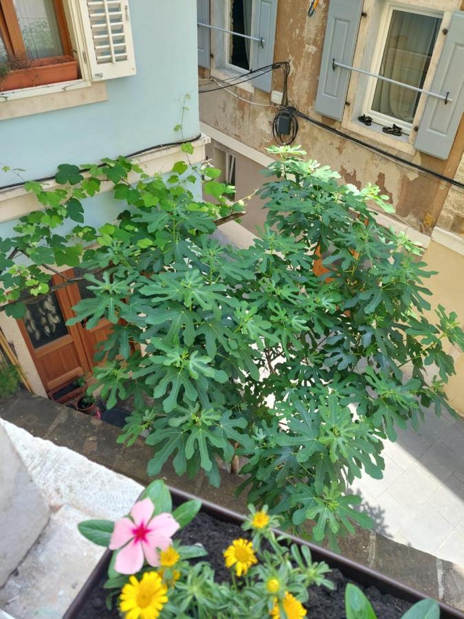 Studio Cebelica Piran Zewnętrze zdjęcie